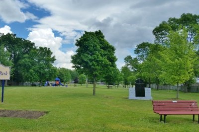 trees, grass and a bench