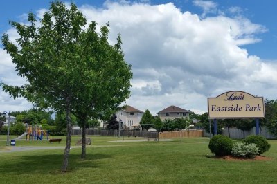 green grass, trees and playground