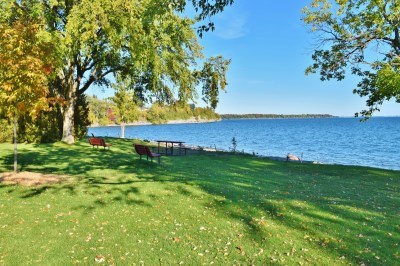 grass and trees on waterfront  