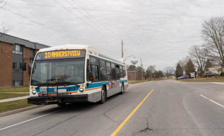 Large public transit bus on city street