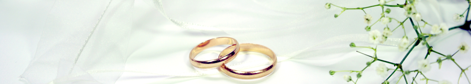 two gold wedding rings on cream background